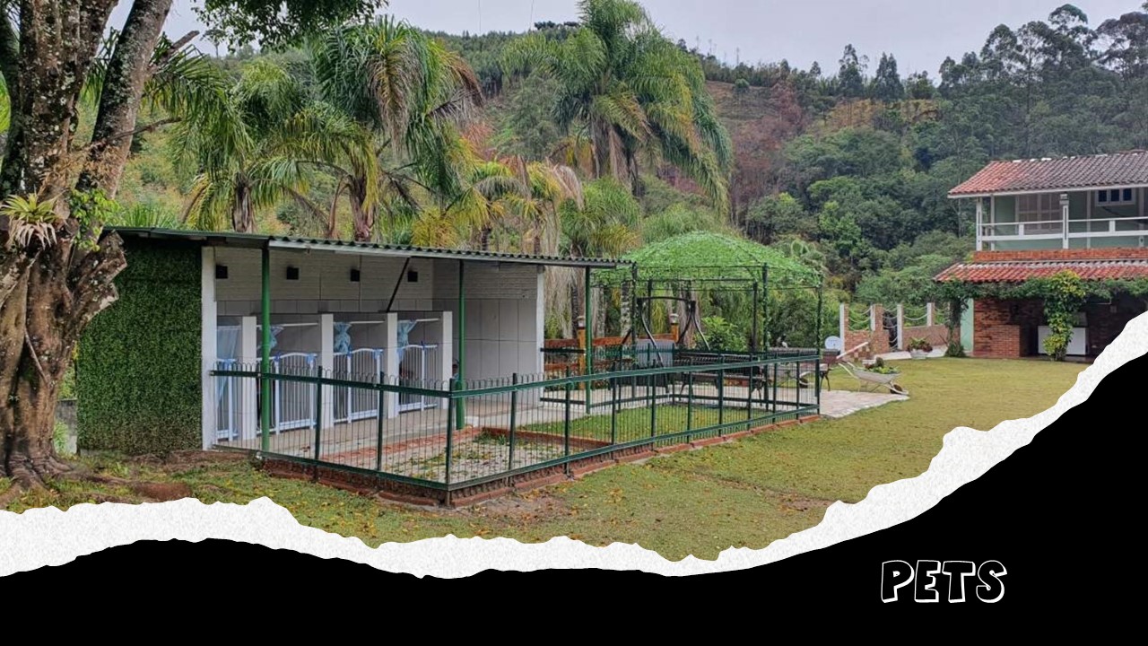 Área Pets